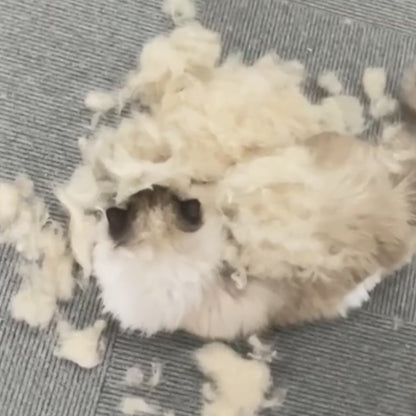 Dampf- Tierhaarbürste