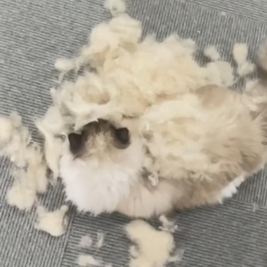 Dampf- Tierhaarbürste